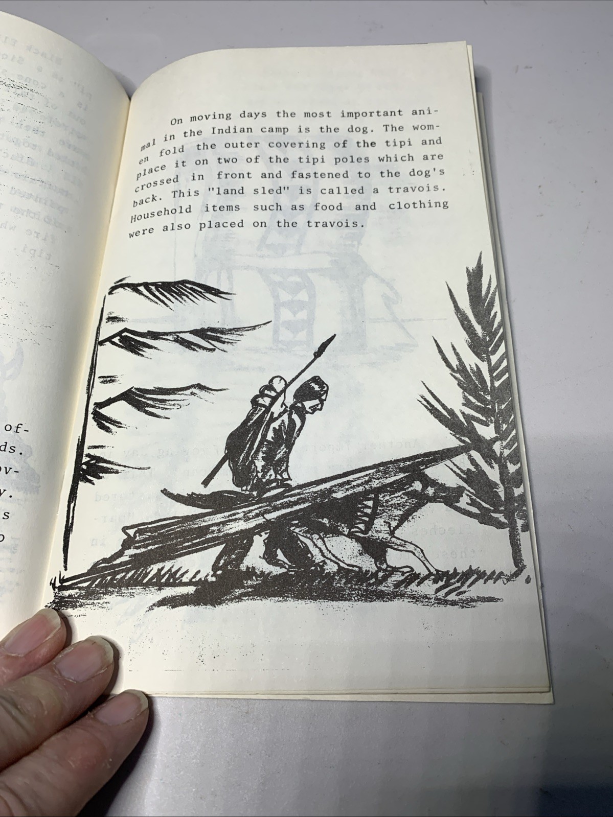 Indians Of The Plains By Anne Hall 26 Pages