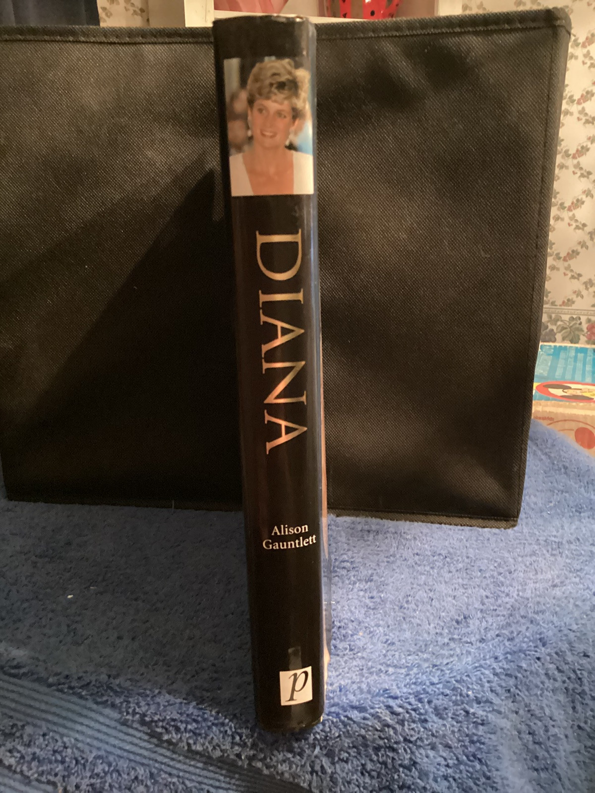 Vintage Diana Unseen Archives Alison Gauntlet Paragon Publishing 383 Pages