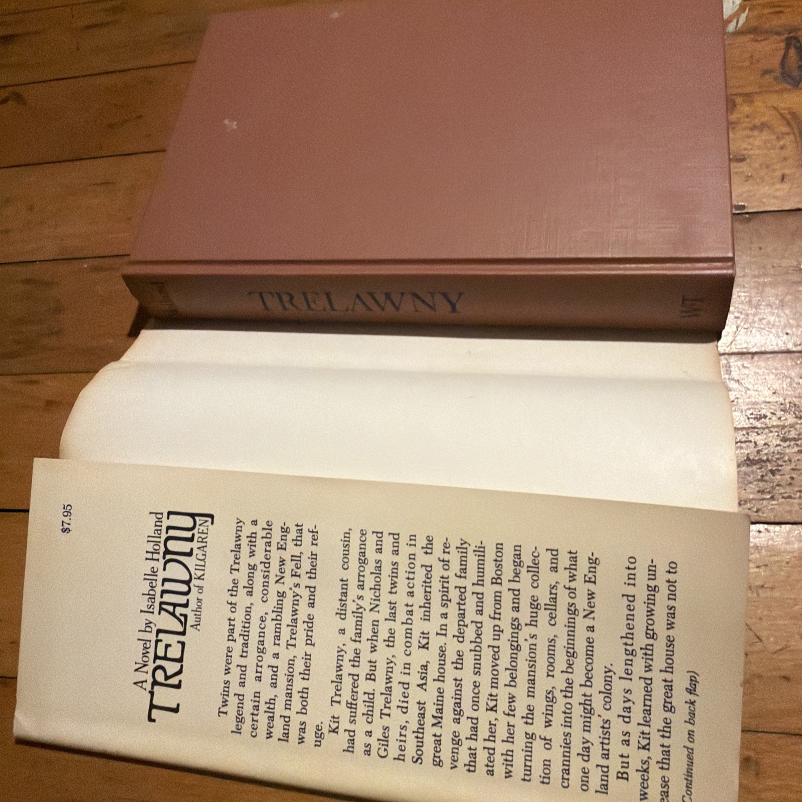 Trelawny Isabelle Holland 1974 Hardcover Dust Jacket Gothic Fiction Novel