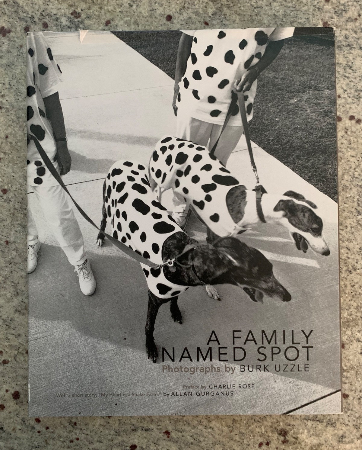 A Family Named Spot by Allan Gurganus: Hard Cover Photo Book 2006