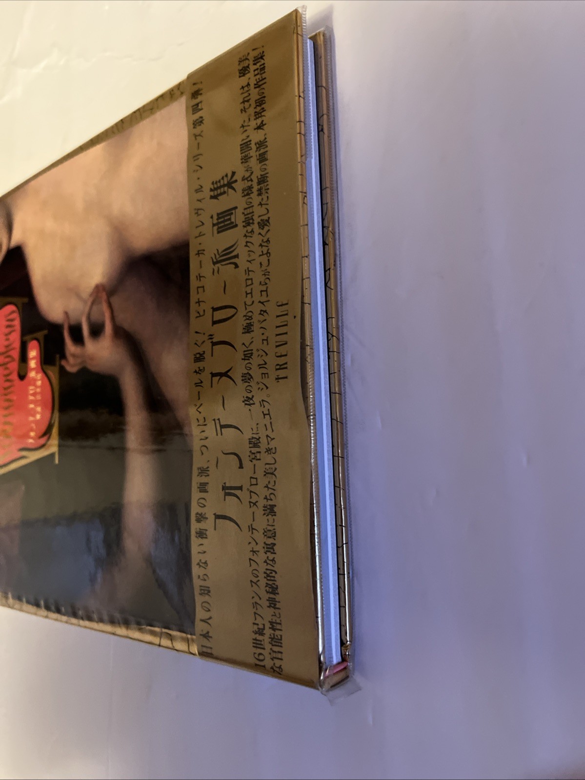 Pinacoteca Treville Series 4 By Erini Fujimara I HC 1995 Japanese Edition