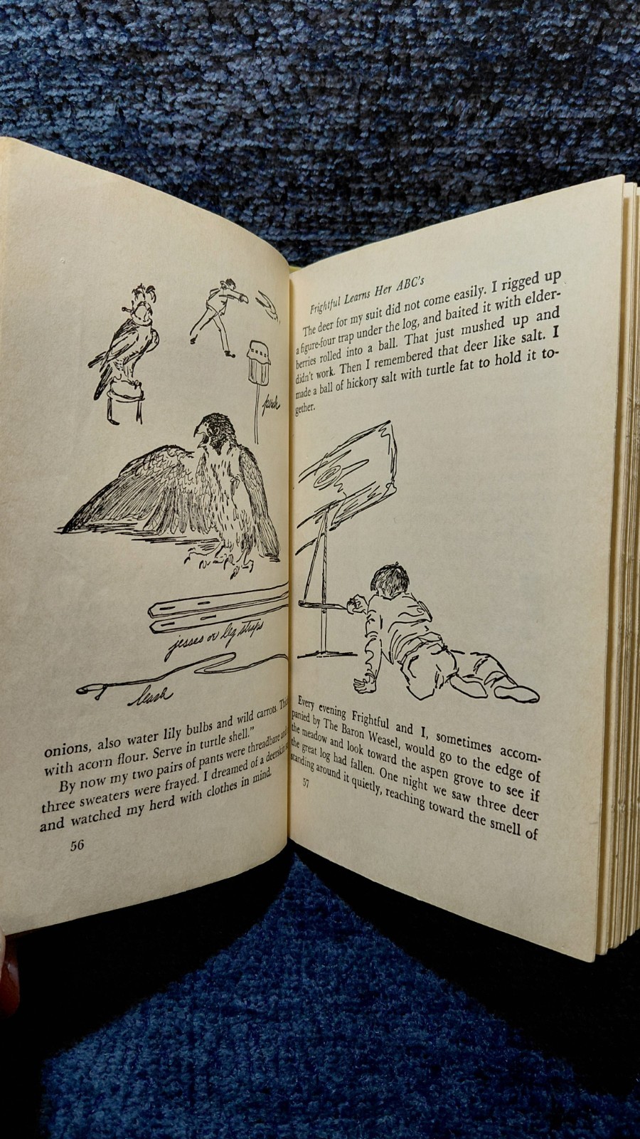 VTG RARE 1959-1975 MY SIDE OF THE MOUNTAIN By Jean Craighead George – Hardcover