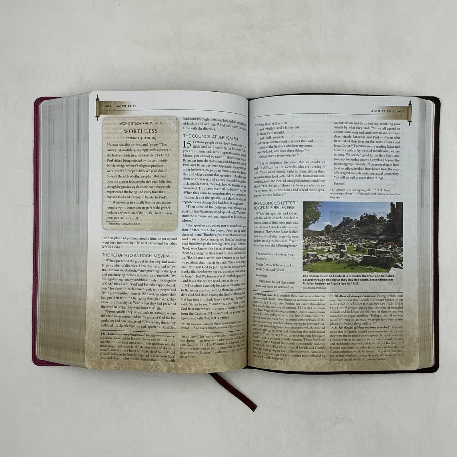 Zondervan NIV First Century Study Bible Dobson Italian Duo Tone Chocolate Orchid