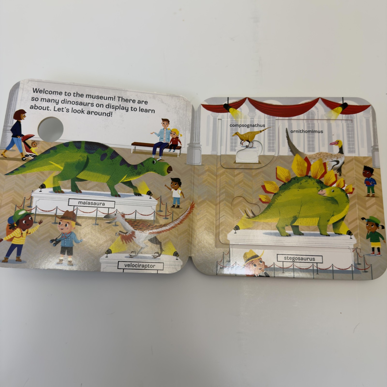 Peek-a-Flap DINO Jaye Garnett Cottage Door Press Dino Board Book Ages 2-3 Green
