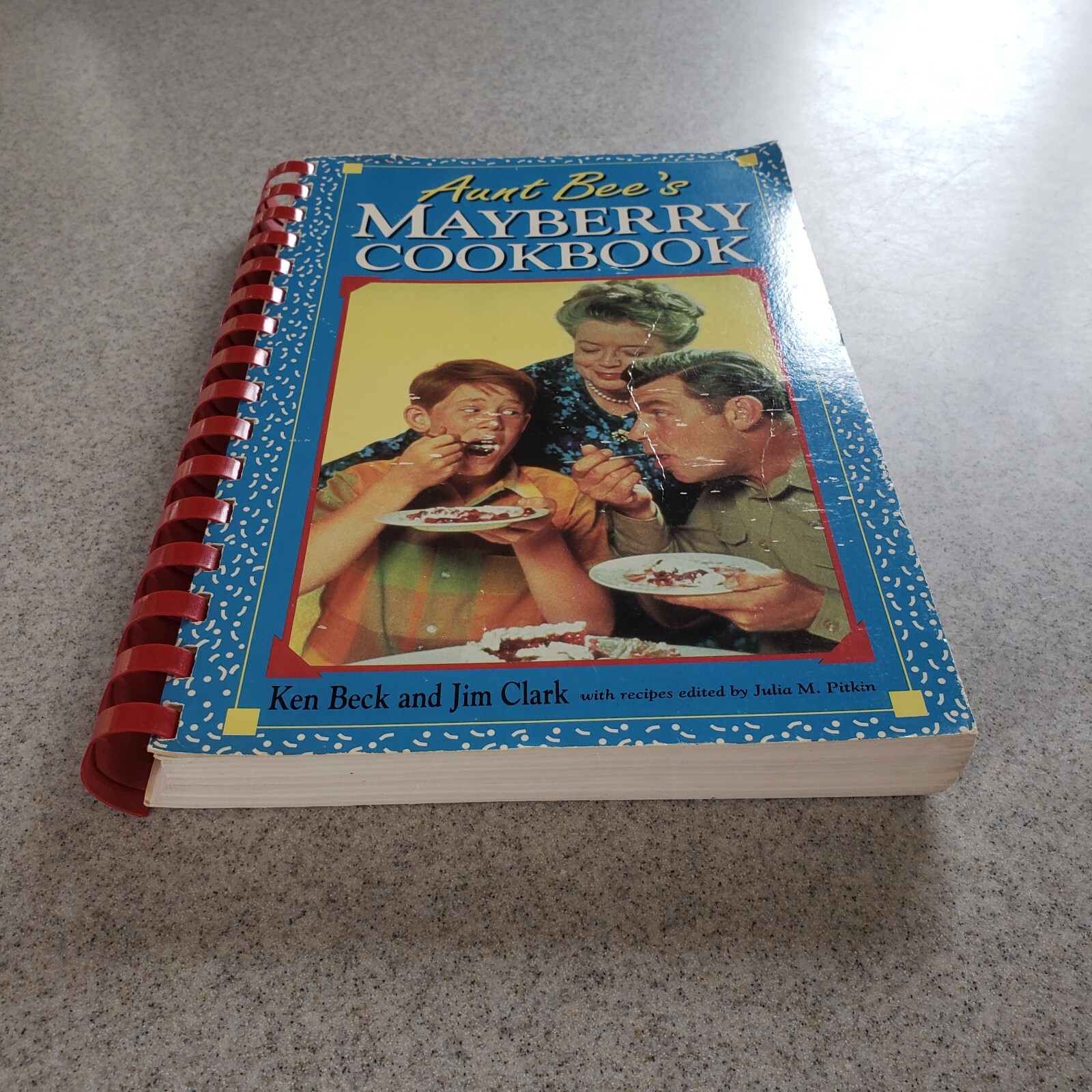 Aunt Bees Mayberry Cookbook 244 Pages Recipes Interesting Read Too