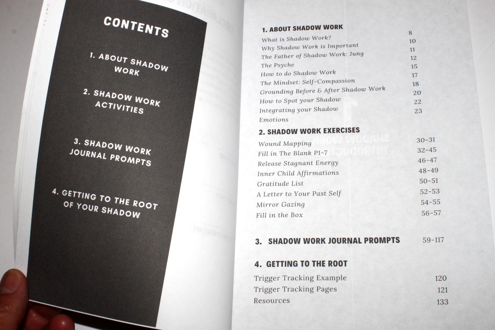 The Shadow Work Journal : a Guide to Integrate & Transcend Your Shadows (2023)