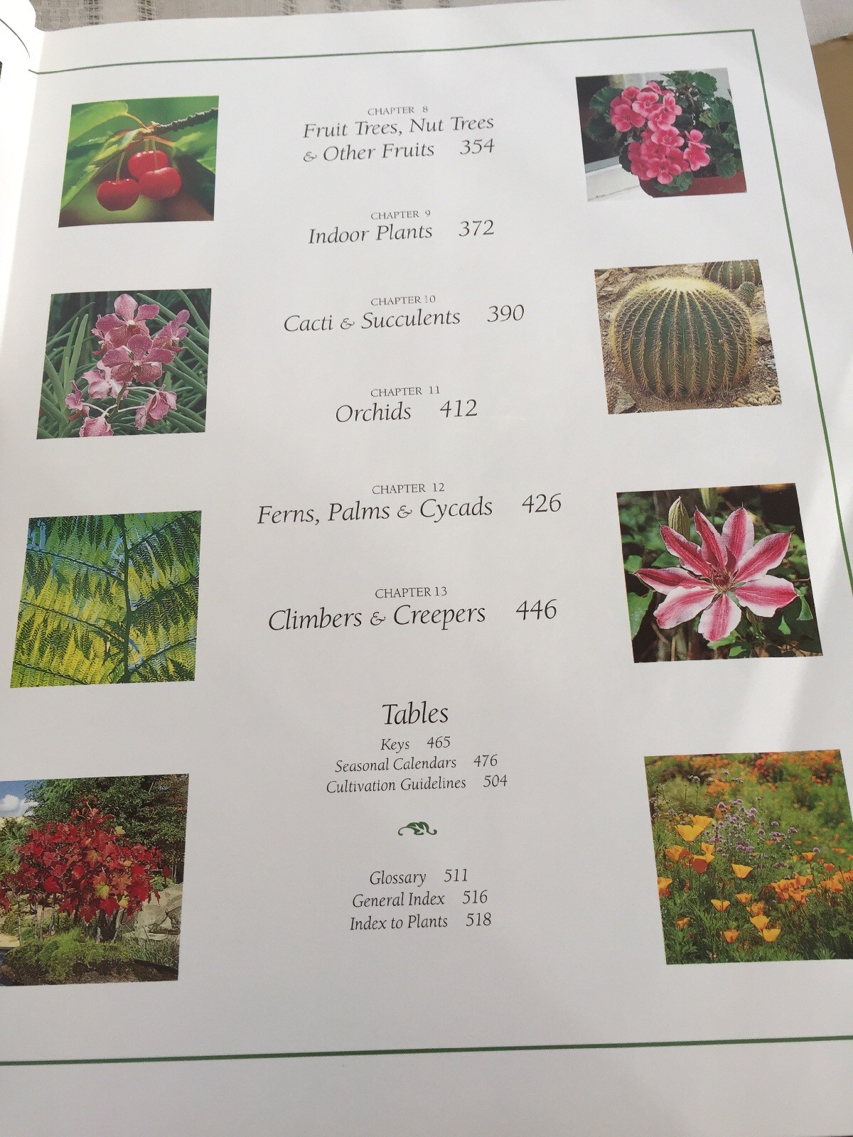 The Ultimate American Gardening Book Mynah 528 pages HB DJ Over 2200 Color Photo