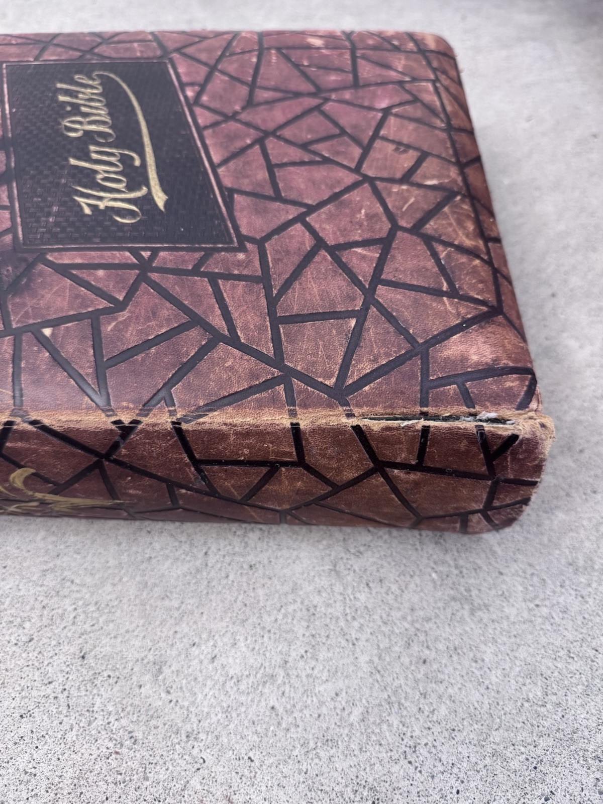 1800s Vintage Book Holy Bible Altemus Antique Leather Original