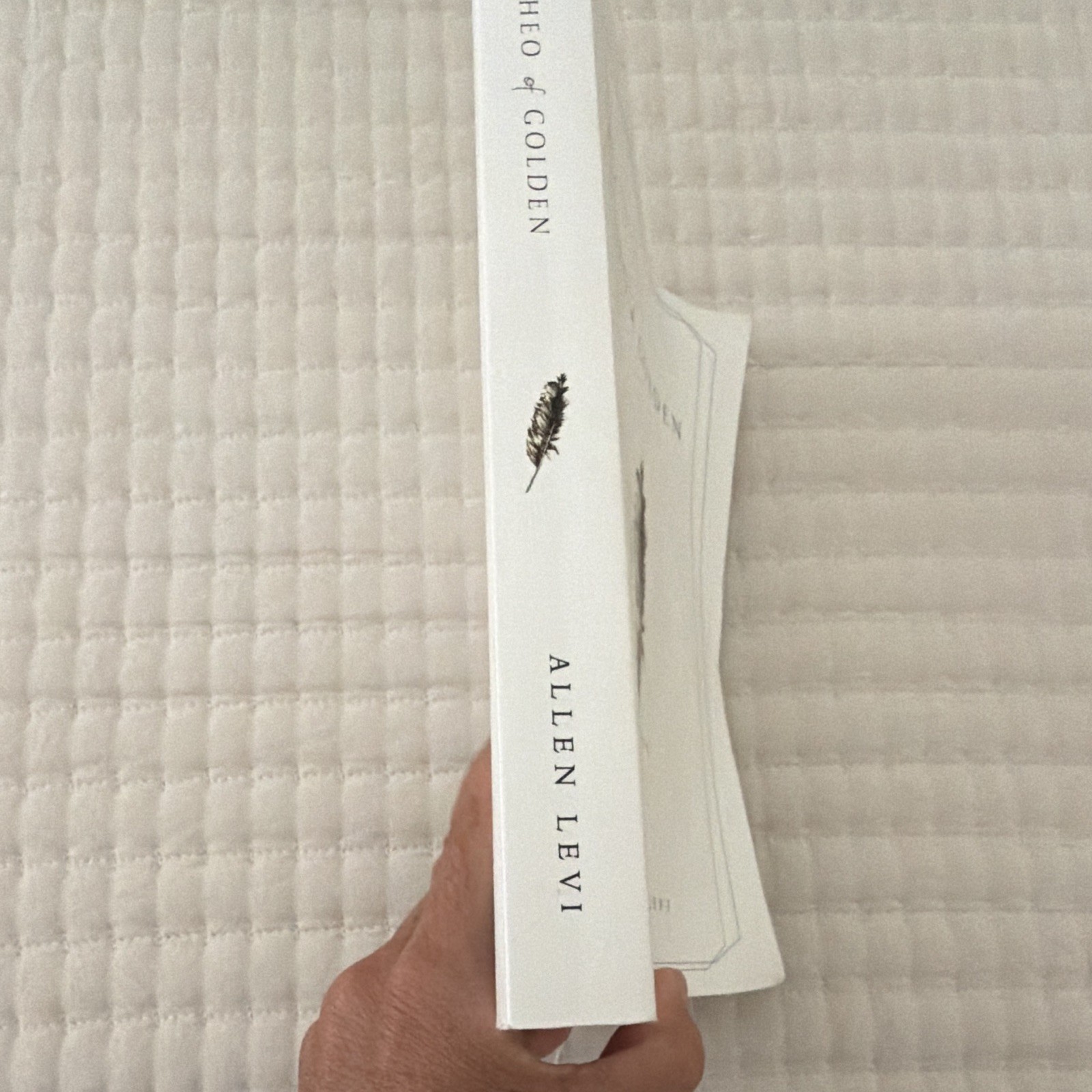 Theo of Golden: Novel Paperback by Allen Levi, Fiction, English, Kindness