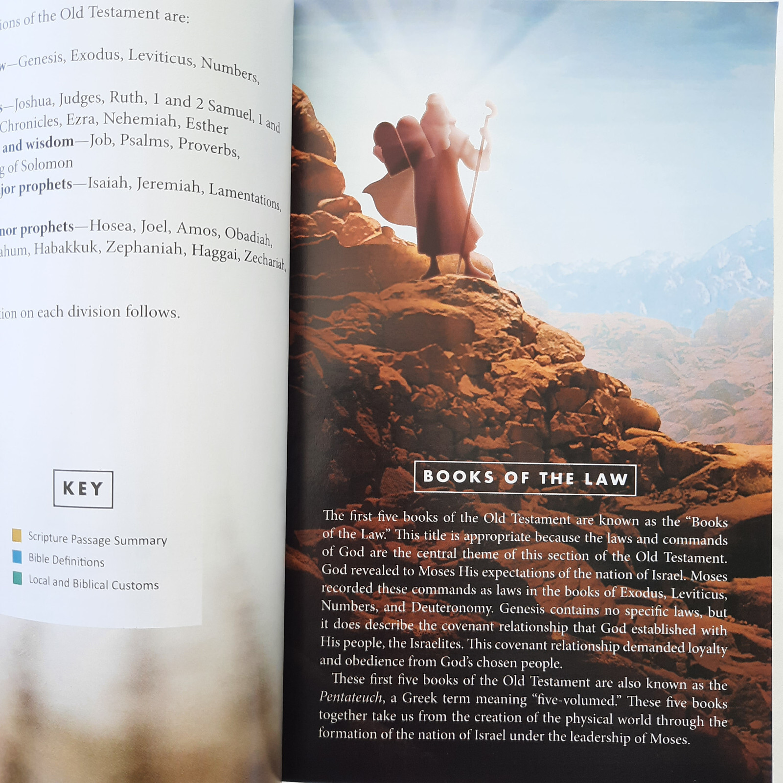 Welcome to Your Bible by George W. Knight (NEW, 2020, PBK, 350 pages, Barbour)