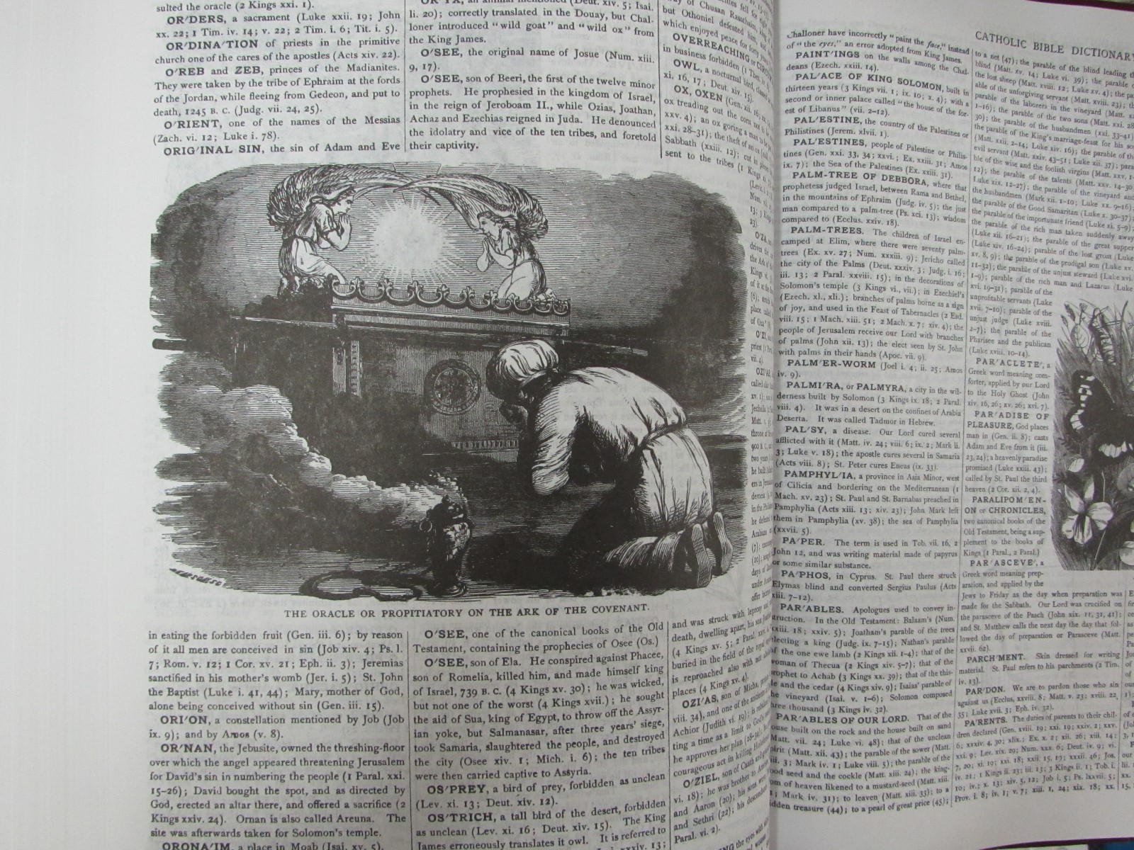 Hardback Douay Rheims Haydock Holy Bible in English