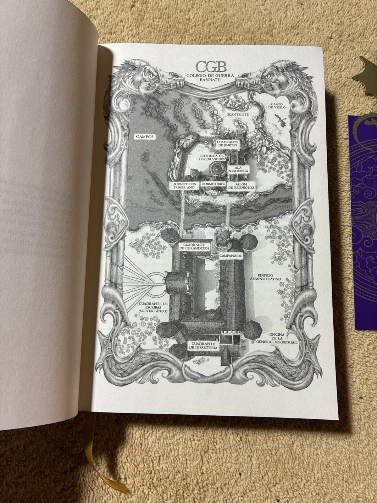 Alas de Sangre: Edición Coleccionista Enriquecida y Limitada / Fourth Wing by…