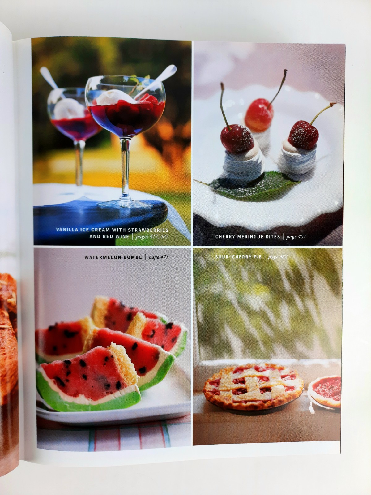 1ST EDITION Martha Stewart Living Cookbook by Martha Stewart (2000) 592 pp