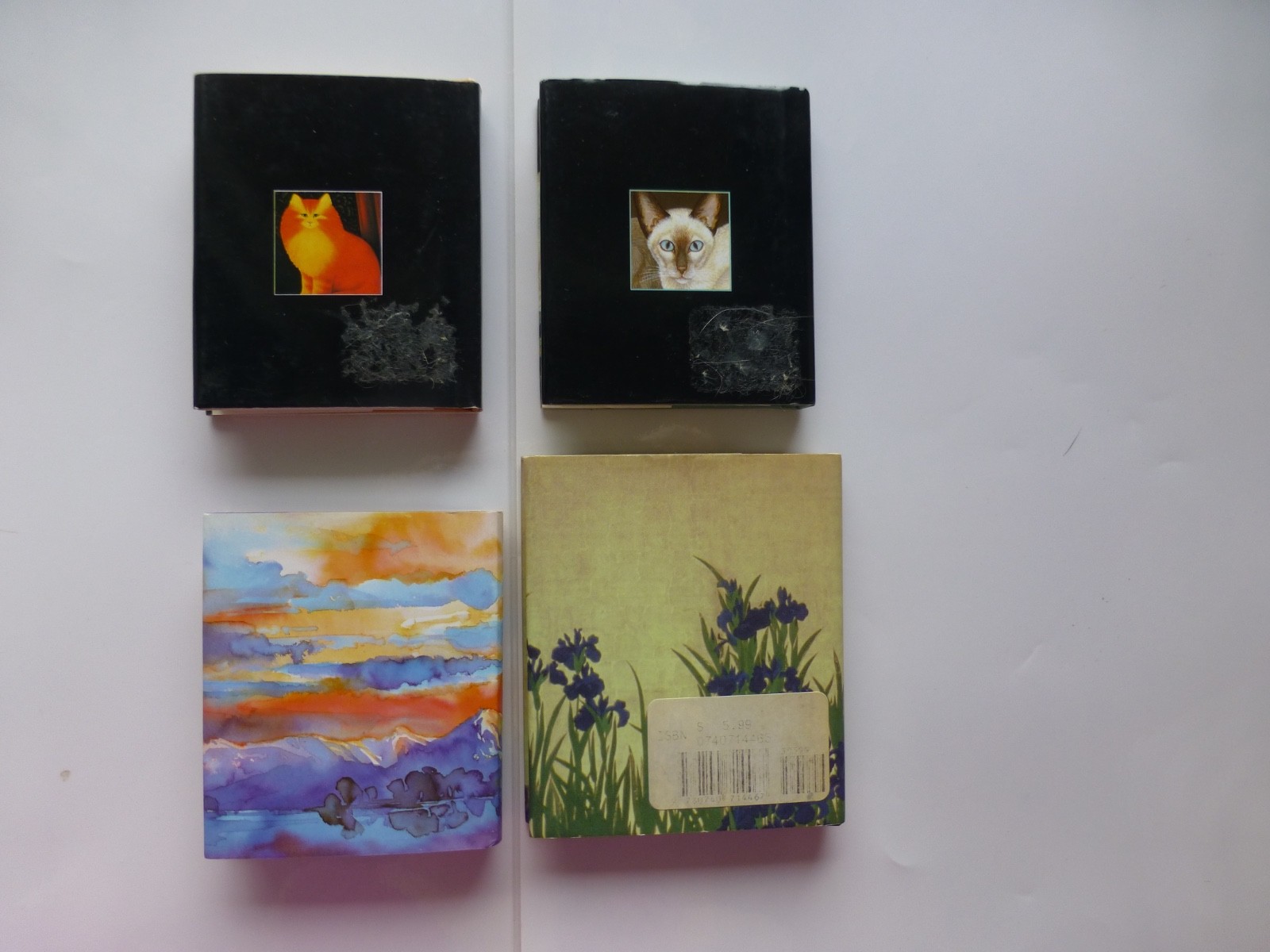 Lot of 4 Miniature Books HCDJ