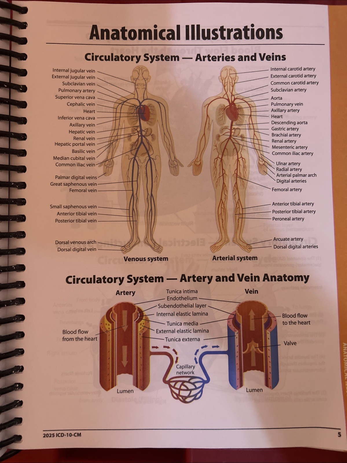 ICD-10-CM Complete Code Set 2025 – Spiral-bound, by AAPC – Very Good