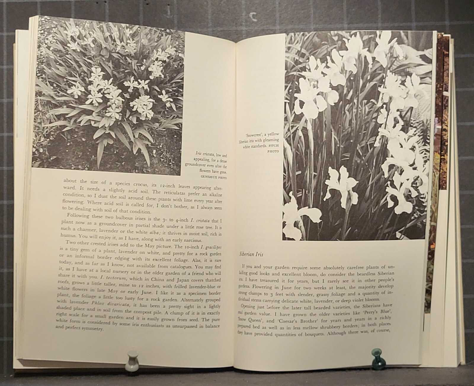 Successful Gardening with Perennials : by Helen Van Pelt Wilson 1976 HC 2642