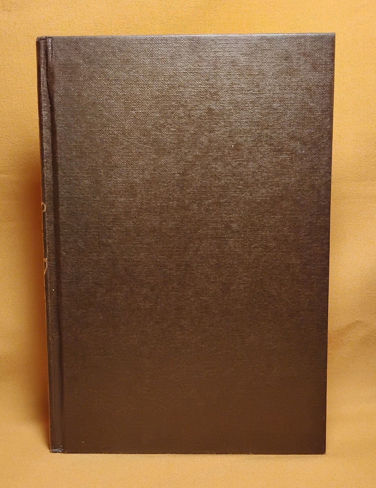 the Stone Door Leonora Carrington St. Martin’s Press 1977 HCDJ 1st U.S. edition