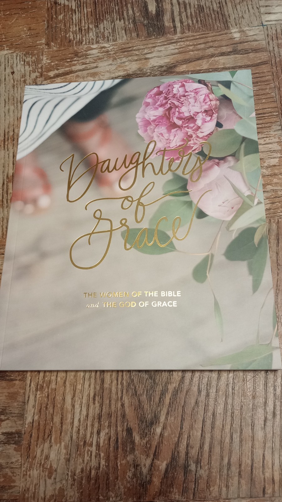 The Daily Grace Co. Devotional Bible study Lot: Ruth, Esther, Women of the Bible