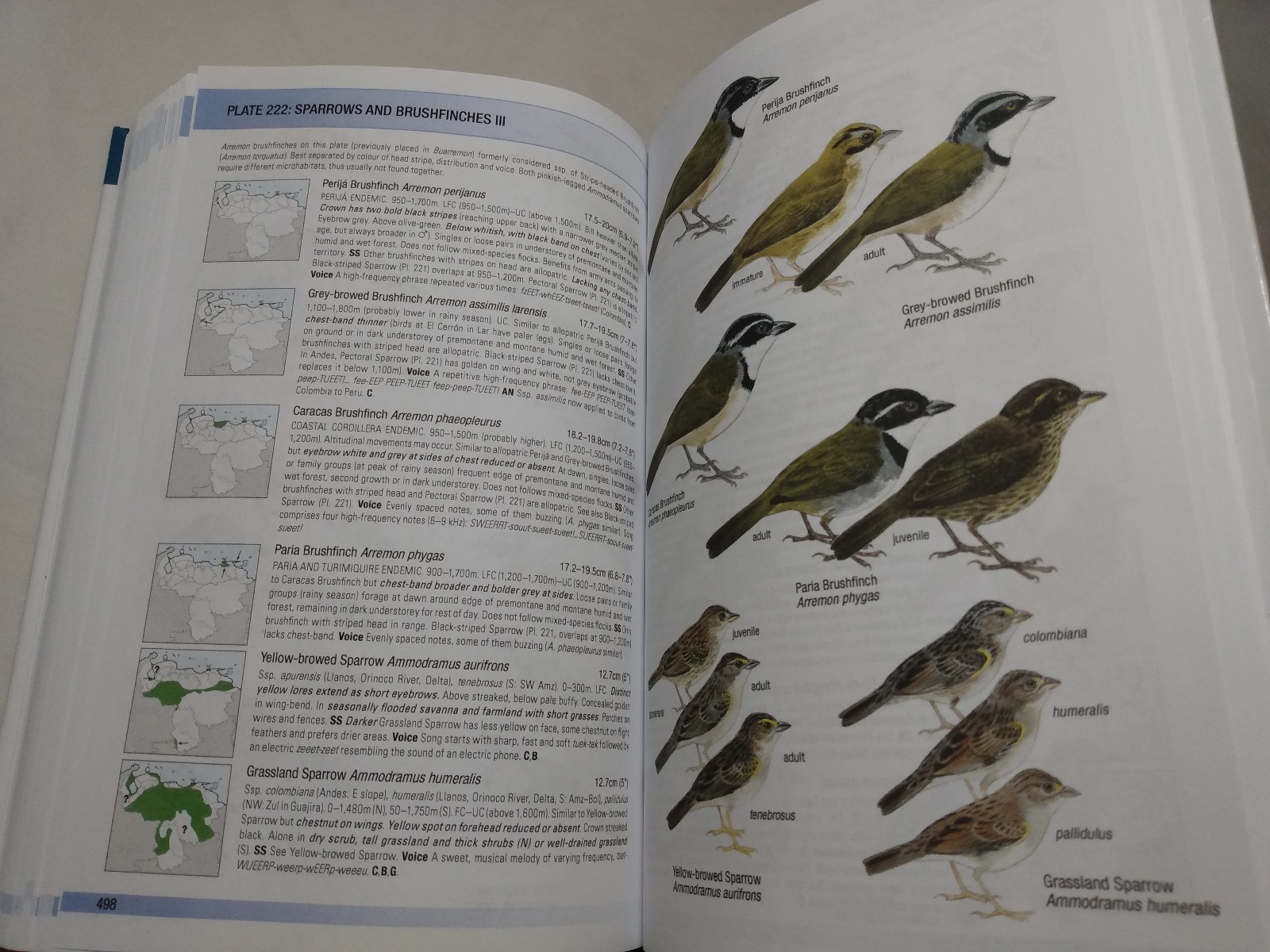 Birds of Venezuela Field Guide Ornithology Reference Regions Species Calls 2017