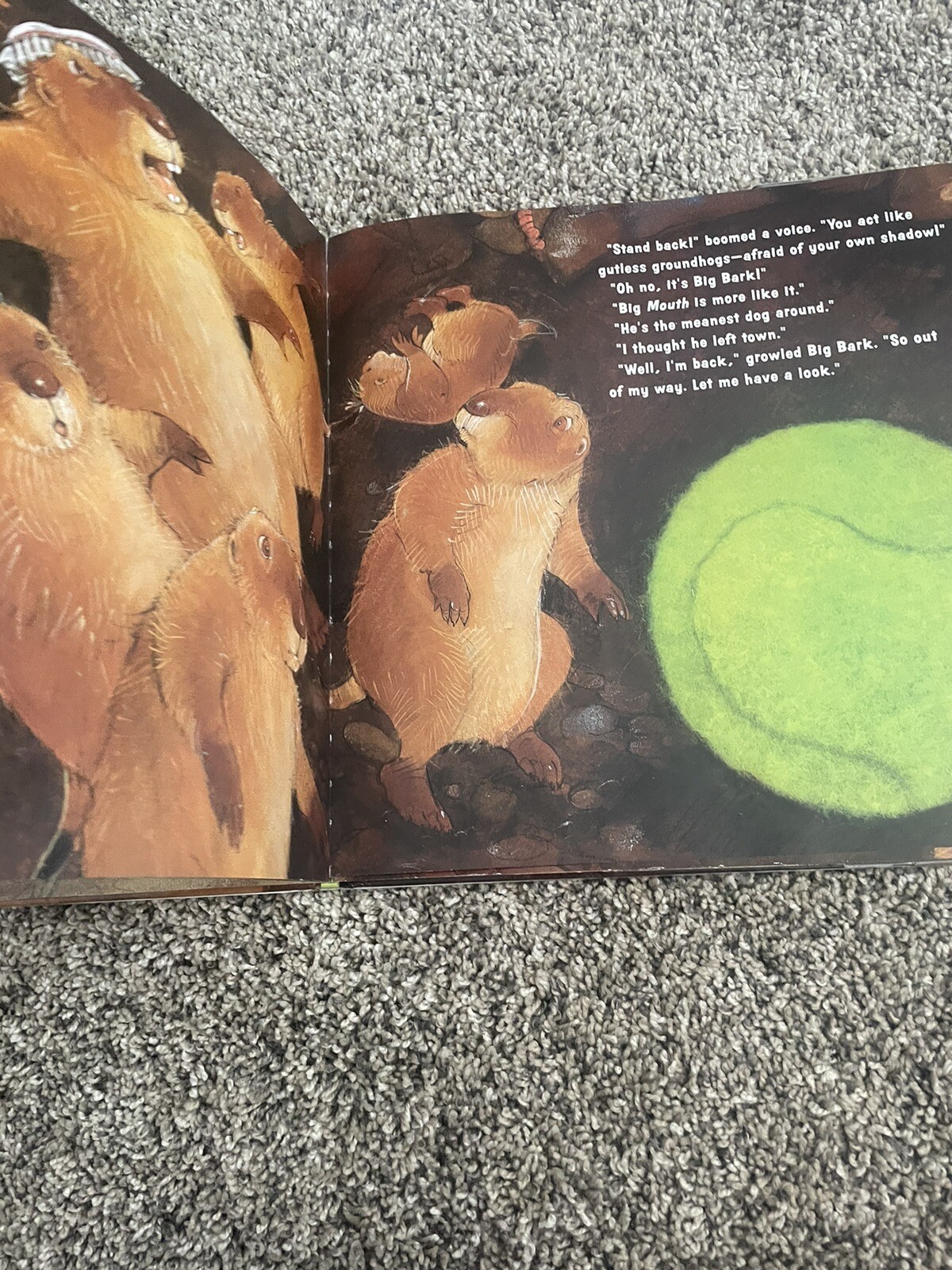 The Great Fuzz Frenzy By Janet Stevens (2005 Hardcover ) With Read Along CD