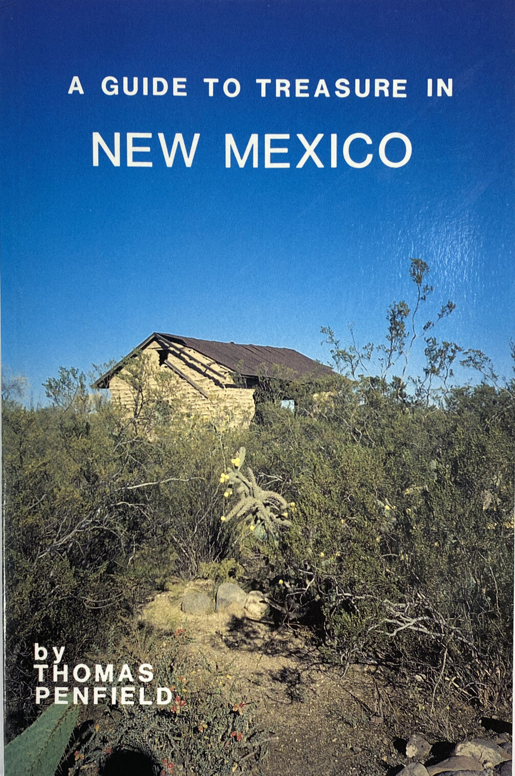 A Guide to Treasure in New Mexico by Thomas Penfield, NEW