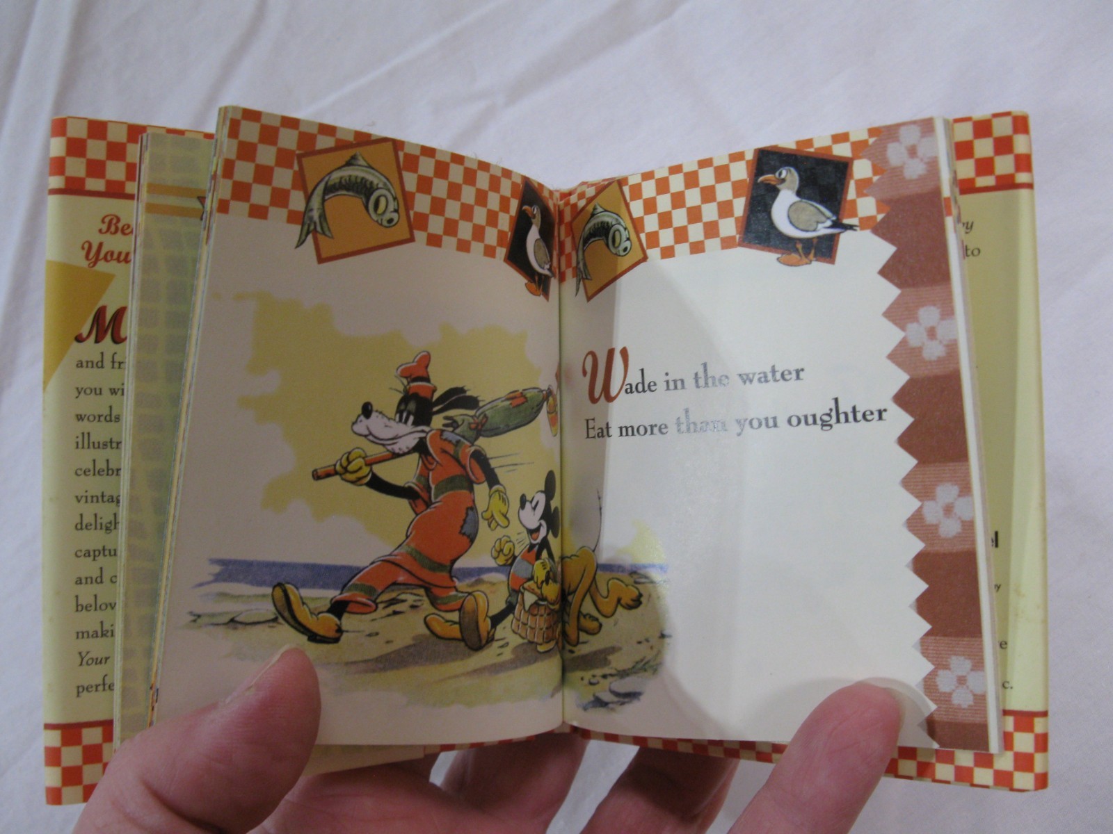 Mickey Minnie Because It’s Your Birthday Book HCDJ 2006 HTF 48 Pages