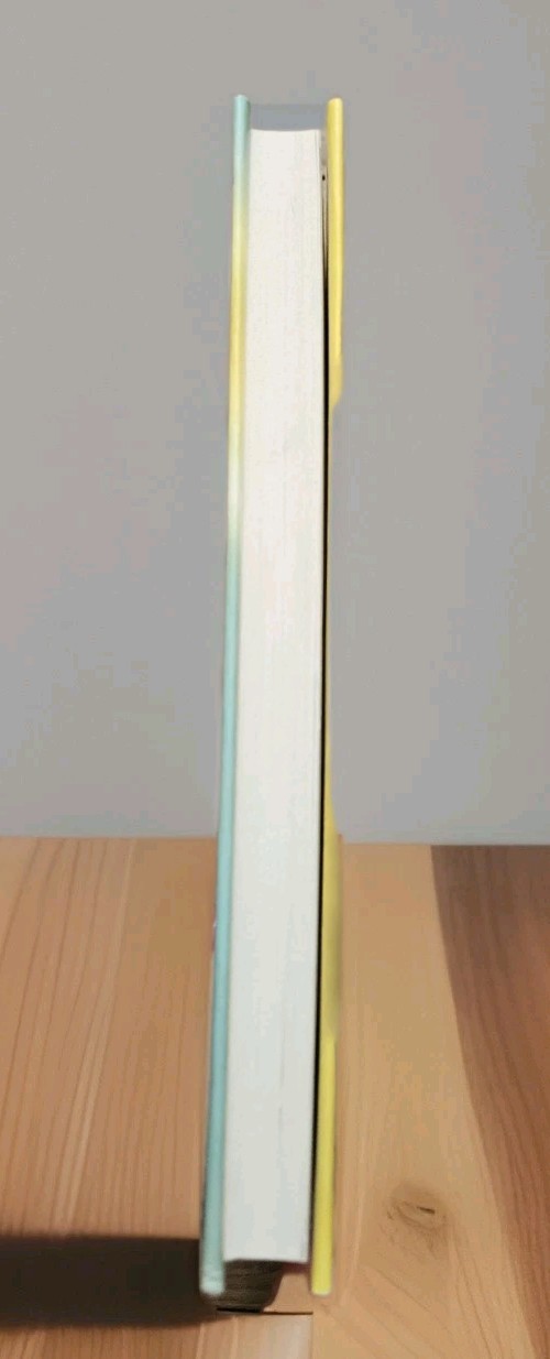 1st Edition : The Power of Now by Eckhart Tolle Spirituality Self-Help HC Book