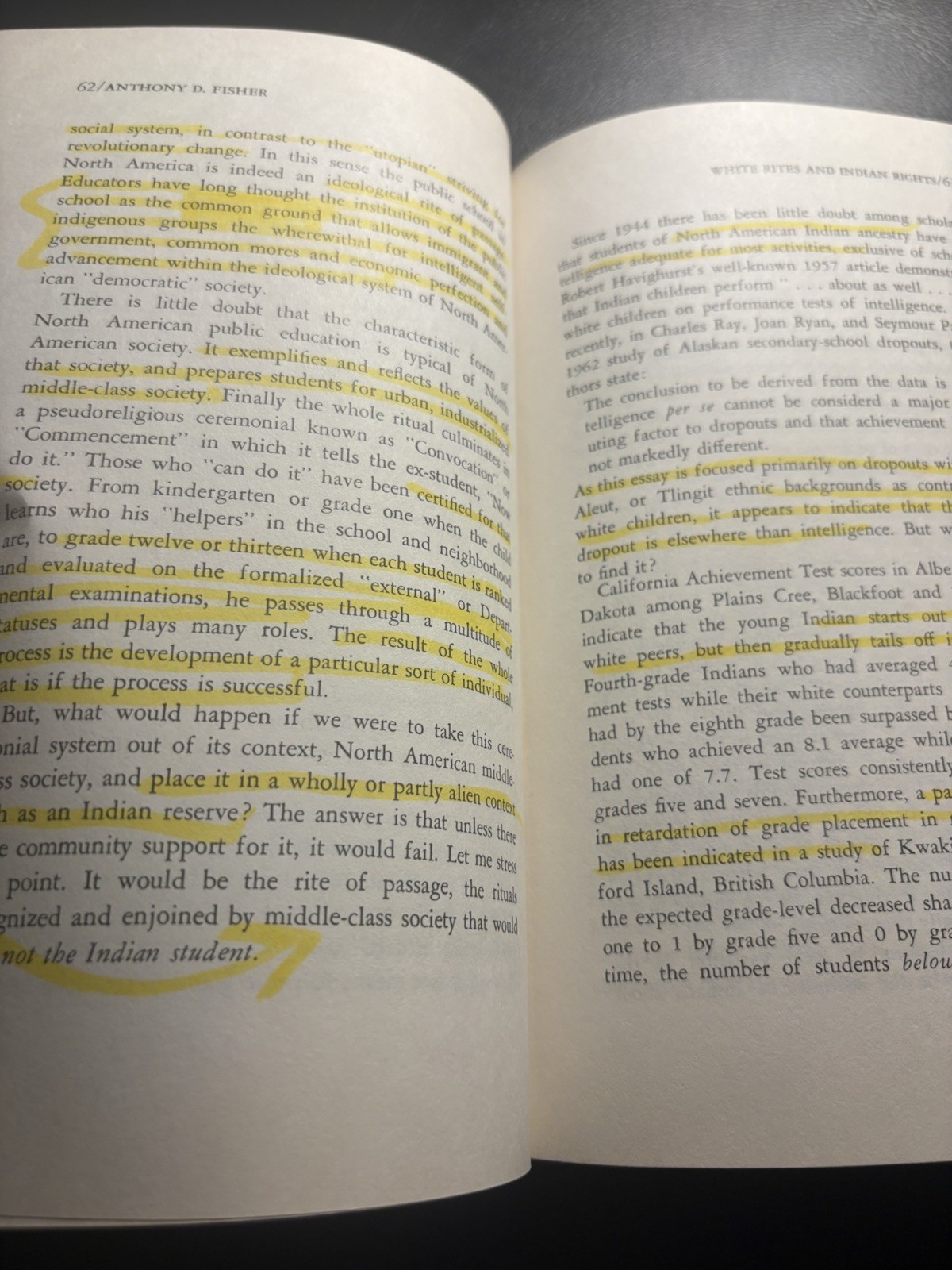 Awakening Minorities 1970 PB Chicano Native Puerto Rican