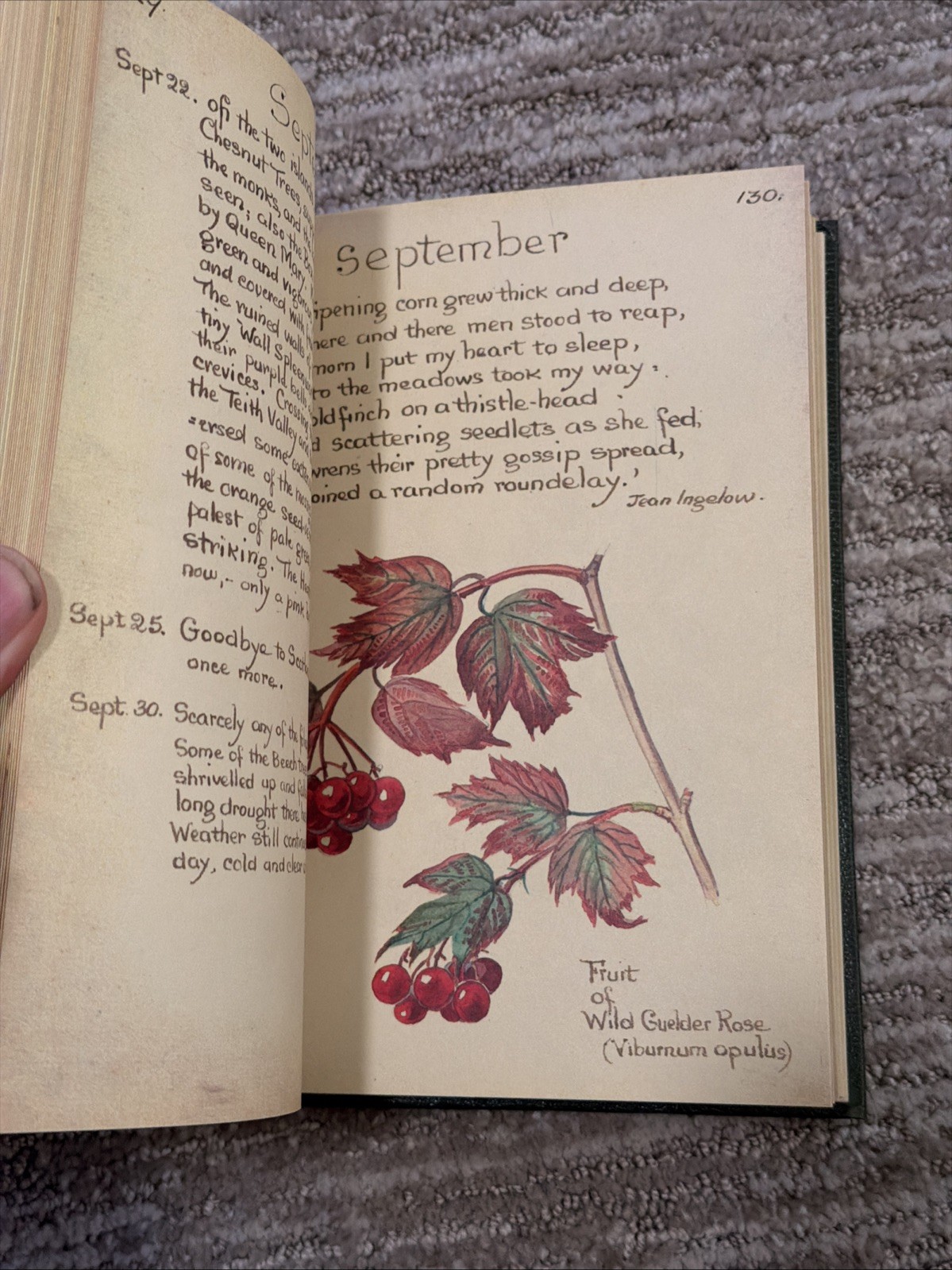The Country Diary of an Edwardian Lady by Edith Holden – Hardcover Book 1977