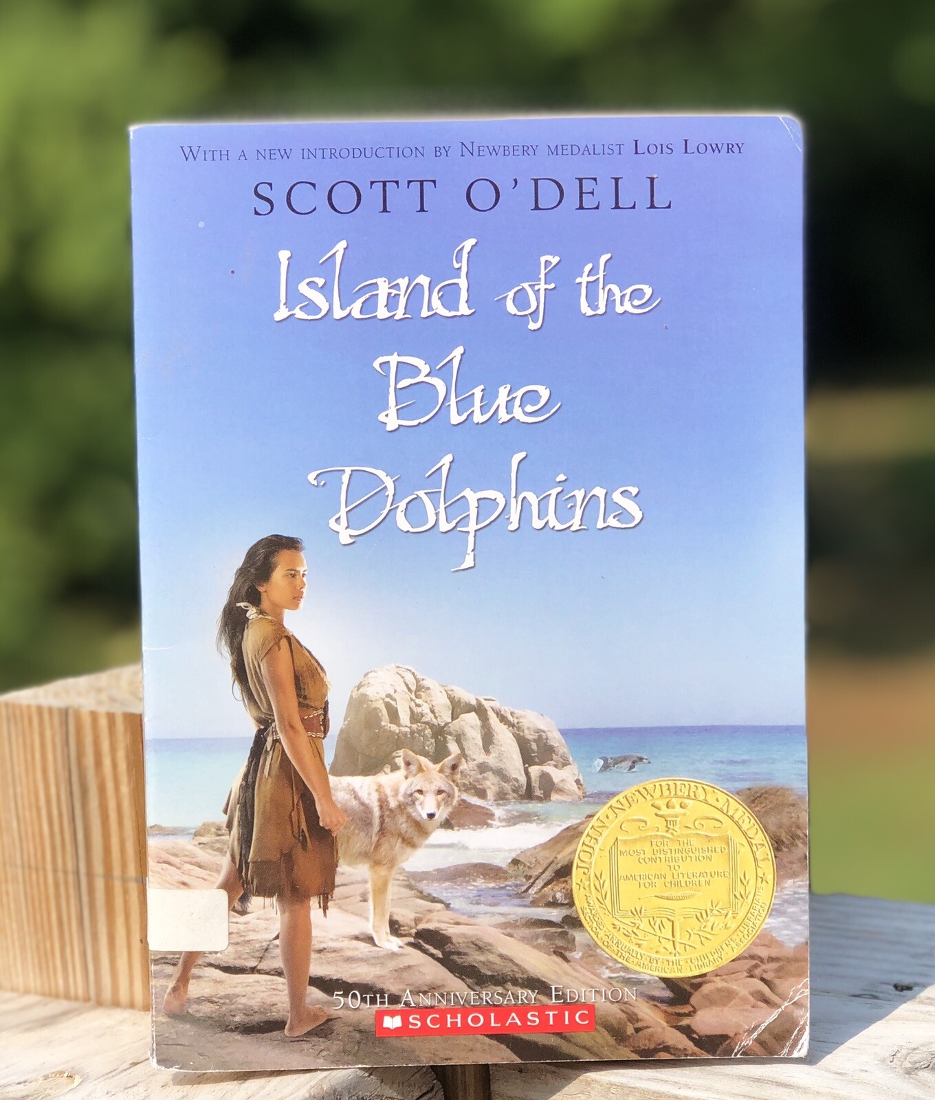 Island of the Blue Dolphins Paperback
