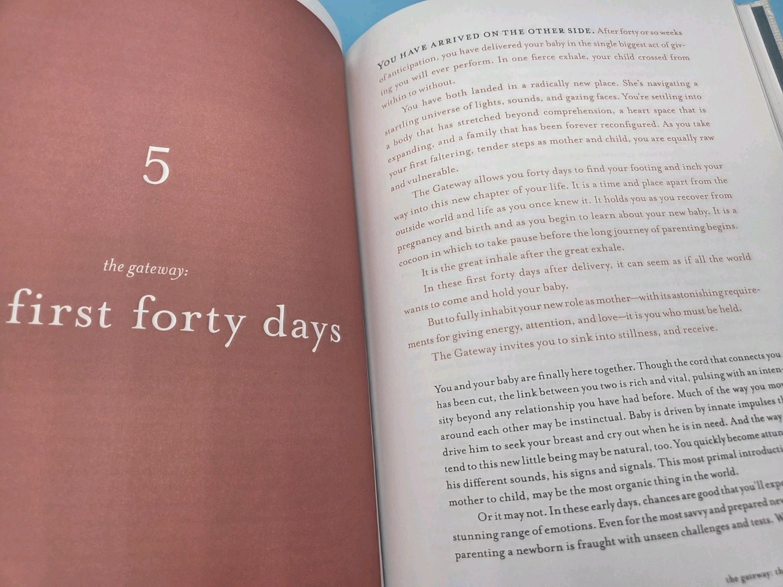 The First Forty Days: The Essential Art of Nourishing the New Mother by Heng Ou