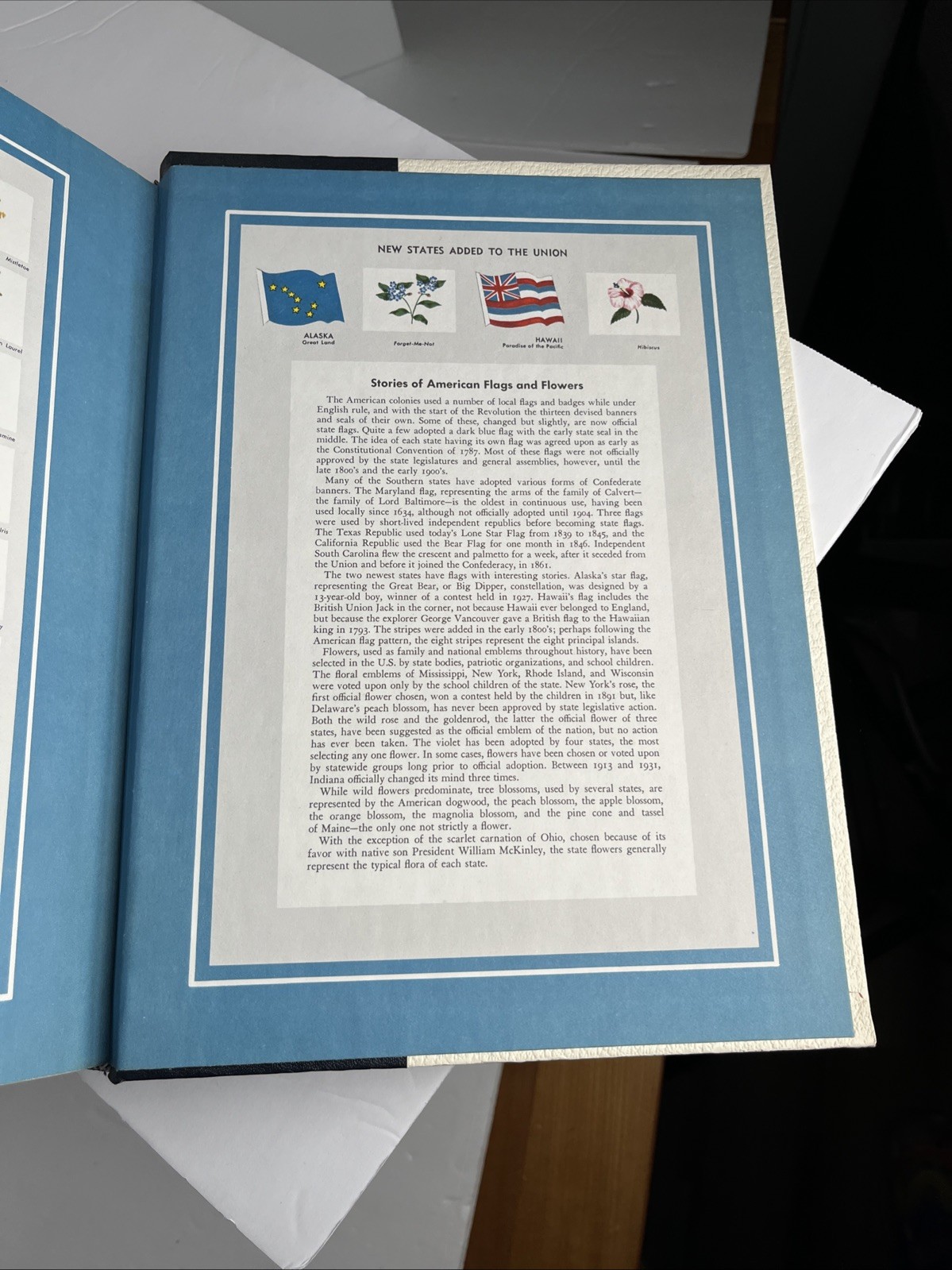 WEBSTER’S Encyclopedia of Dictionaries New American Edition 1981 Large Type VTG