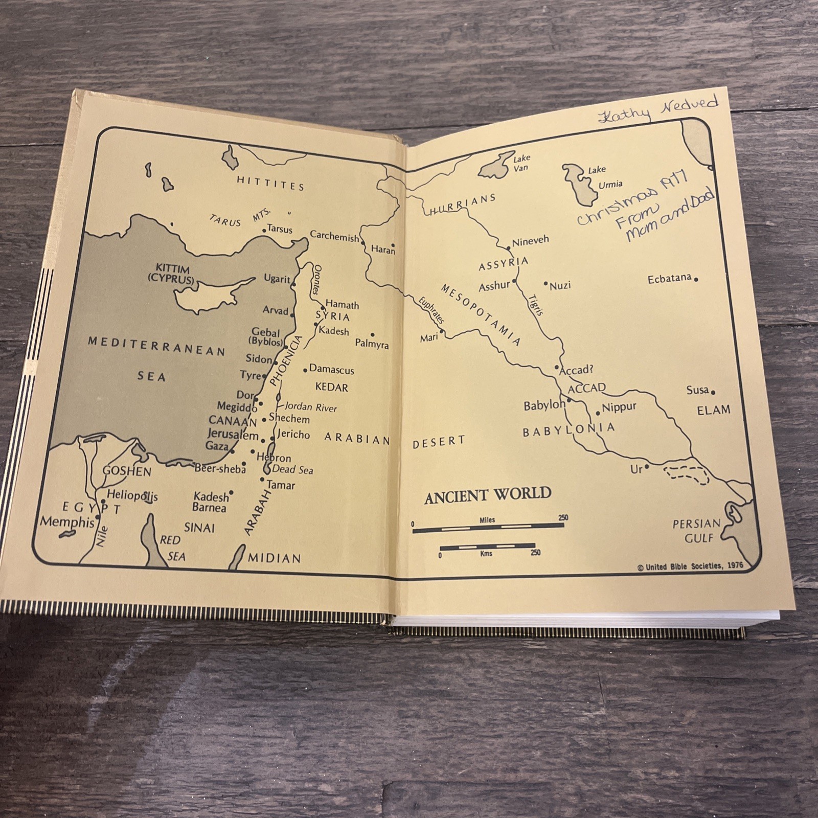 Vtg 1976 Good News Bible Today’s English Version Gold Hardcover 480 Pages