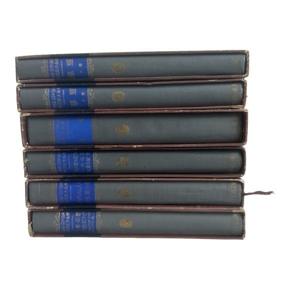 Rare Antique 1926 Dostoevsky Complete Works Japanese 6 Volume Hardcover Book F
