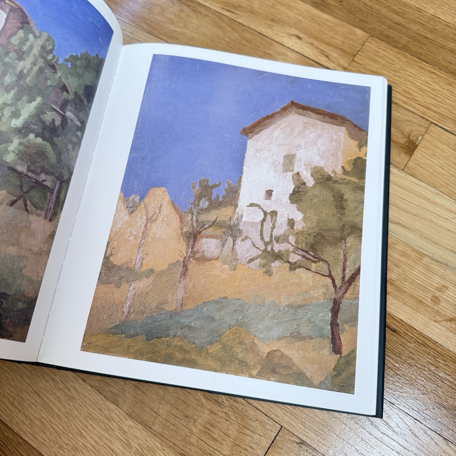 Morandi 1890-1964 Hardcover Art Book Rizzoli International MAMbo & MOMA