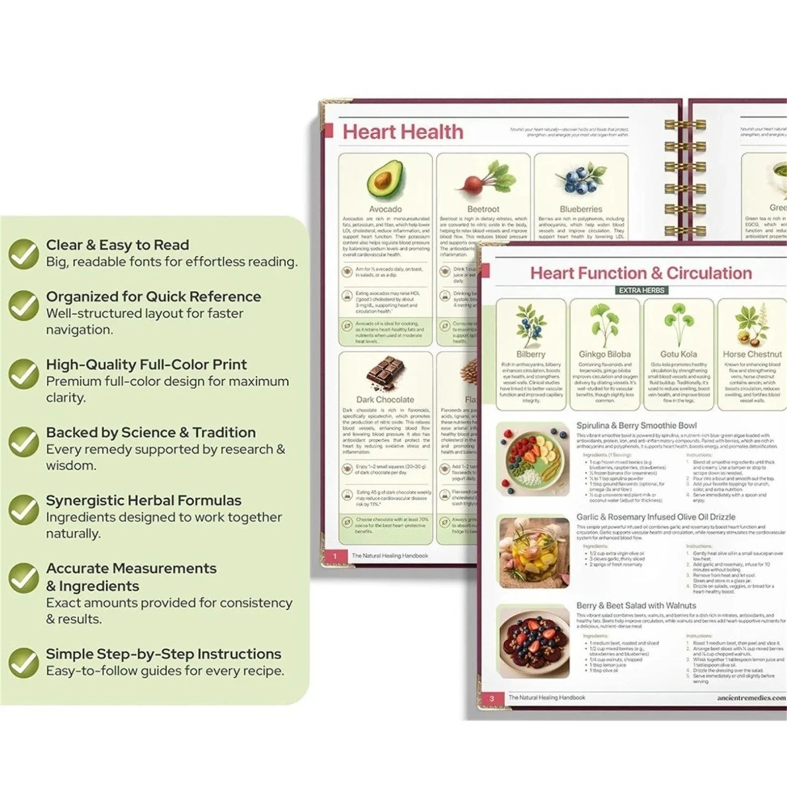 The Natural Healing Handbook, Spiral-Bound Guide for Herbal Remedies and Natural