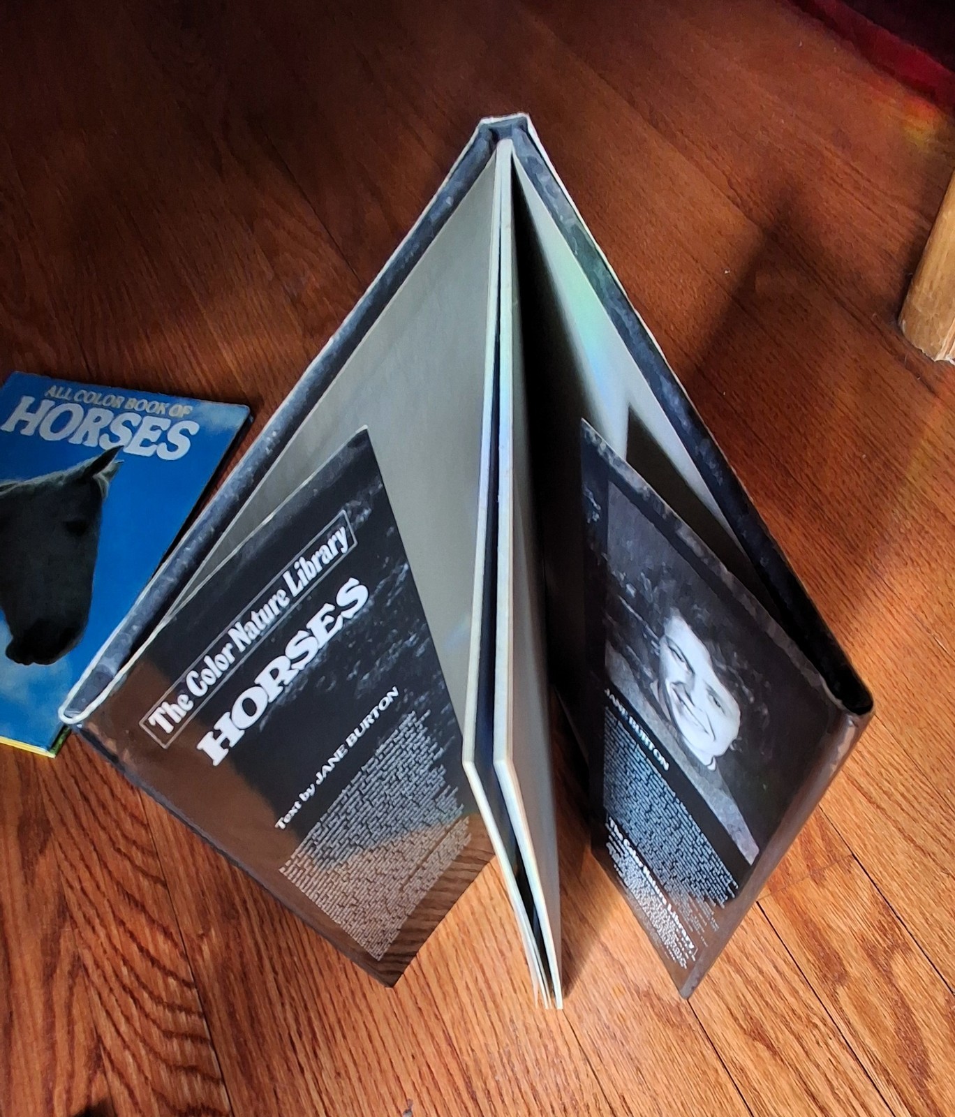 Horse Equestrian Picture Books Riding Horsemanship Horses 1970s Lot of 3 HCDJVG