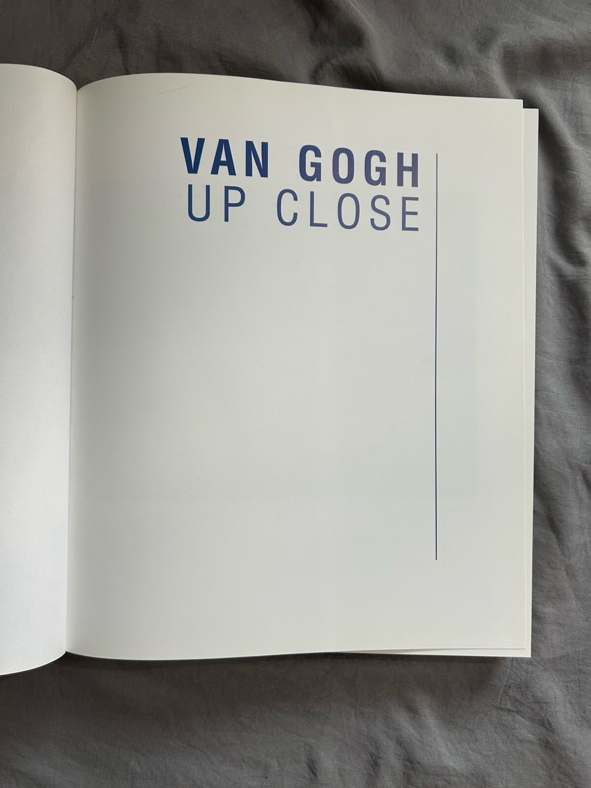 Van Gogh: Up Close Hardcover