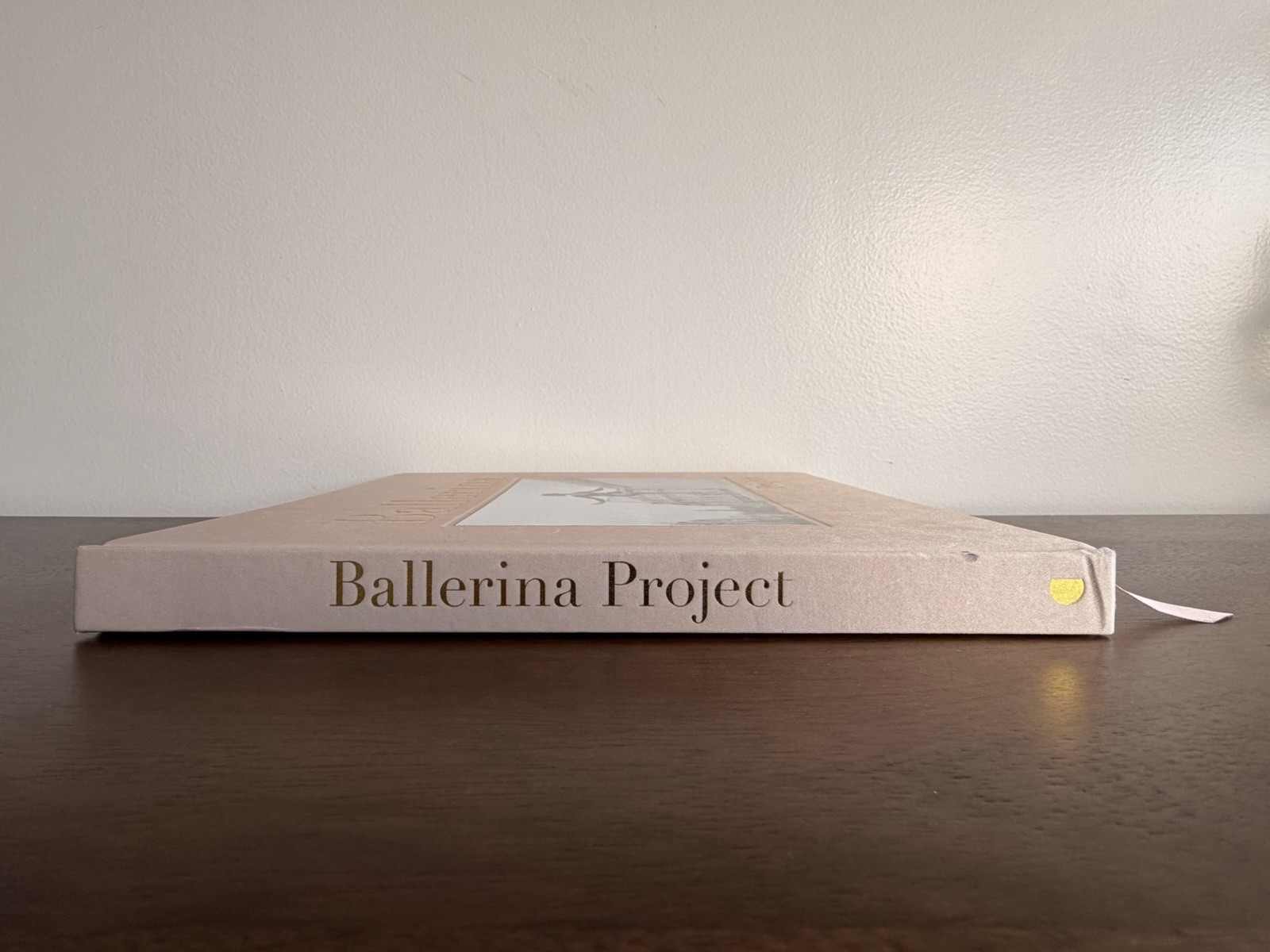 BALLERINA PROJECT: Coffee Table Photography Book by Dane Shitagi – Hardcover
