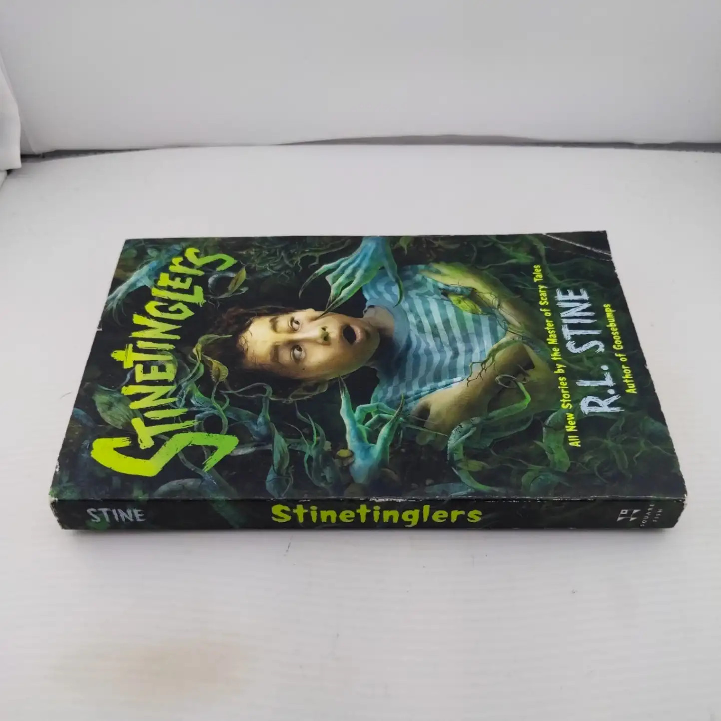 R L Stine Stinetinglers Book Collection Scary Short Stories Square Fish