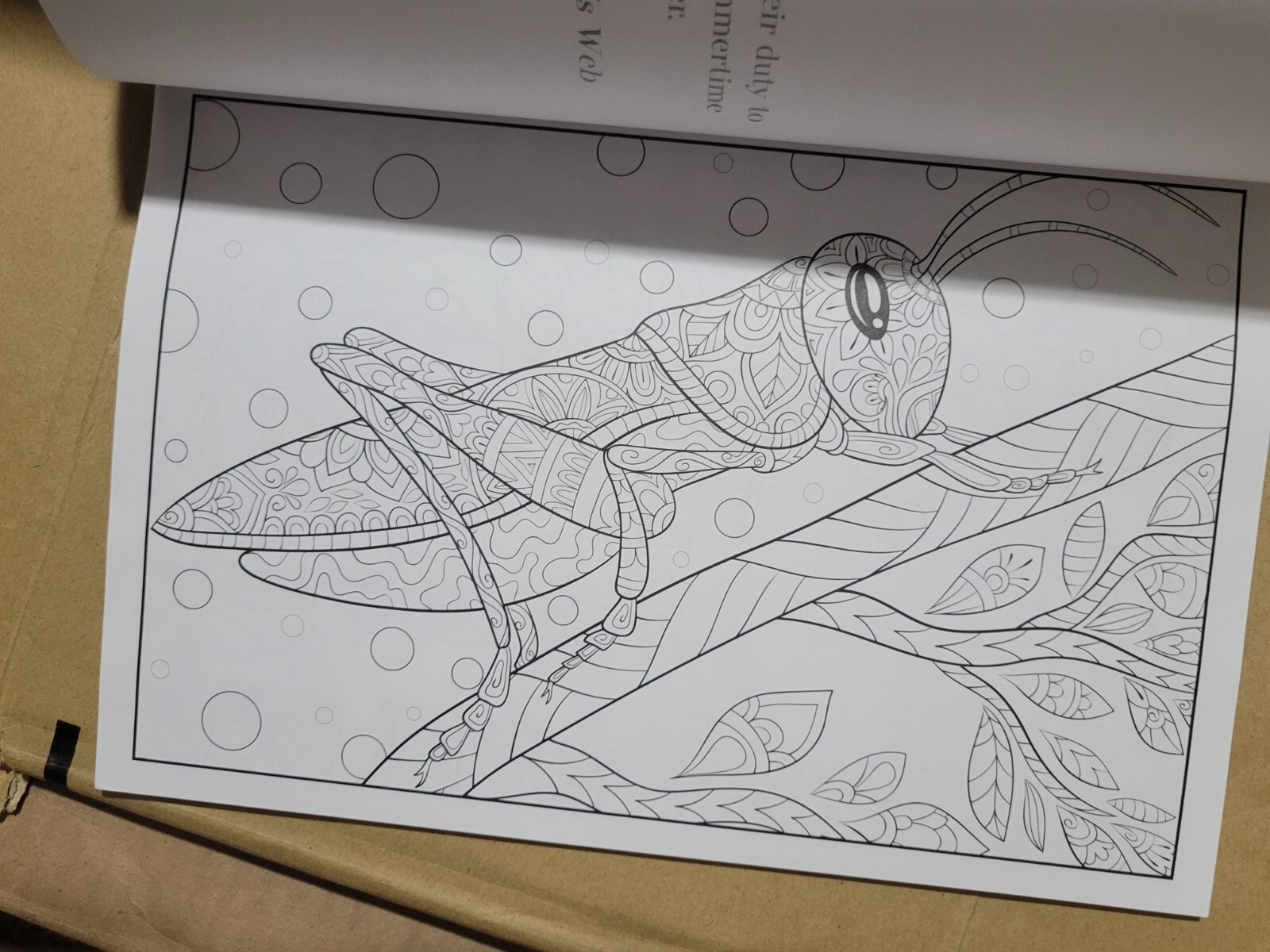 COLORFUL ESCAPES – The colors of Nature! Vol. 26 -Adult Coloring Book – 31 Pages