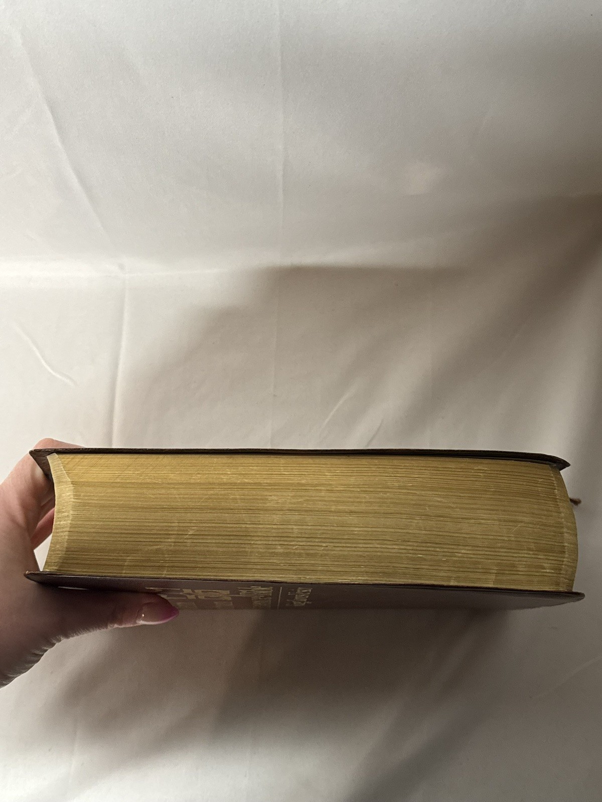 1979 Salem Kirban Reference Bible – King James Version -First Printing Leather