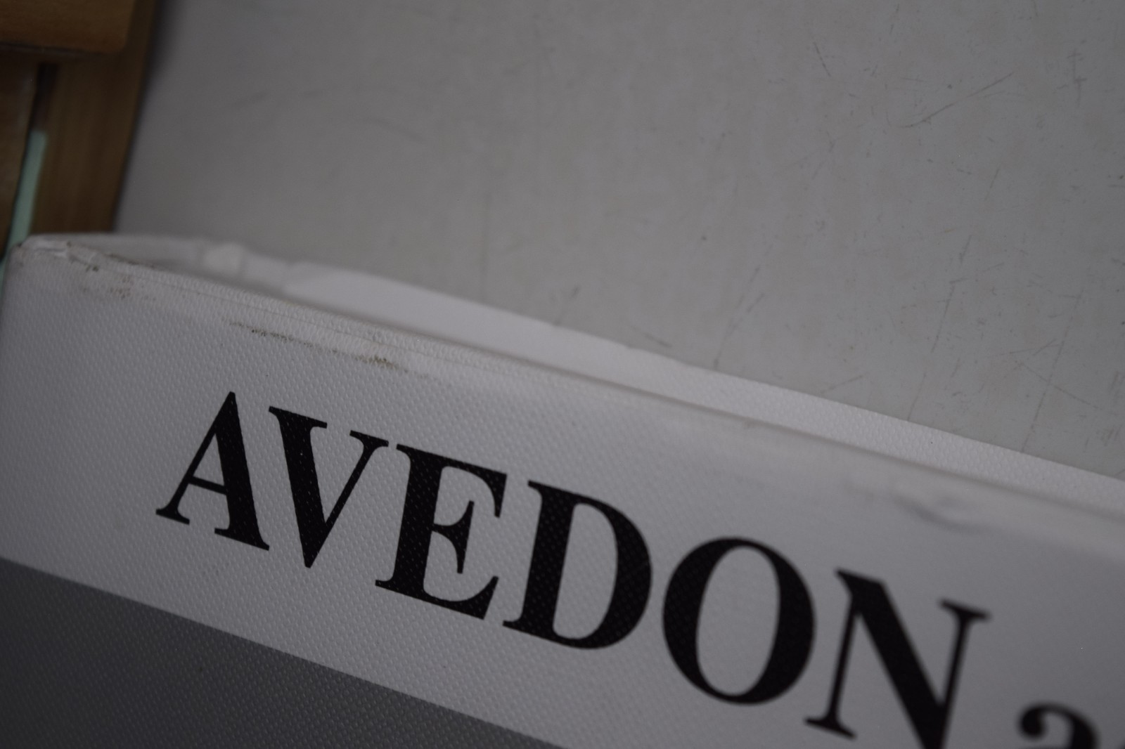 Avedon Advertising : A Photographic History by James Martin, The Richard Avedon