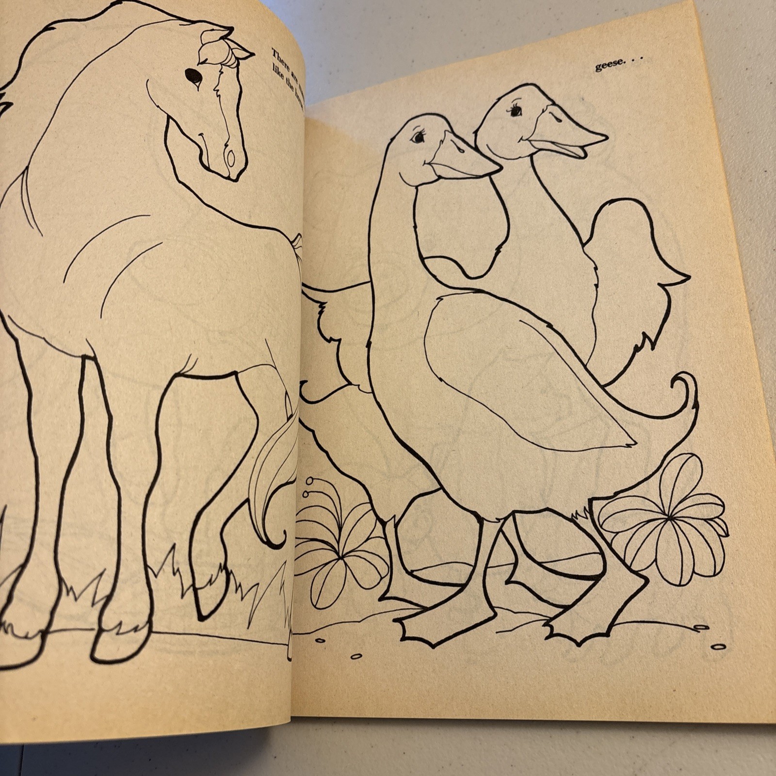 NEW Vintage Golden Coloring Book Preschool FARM Animals 1988 Unused Color Barns