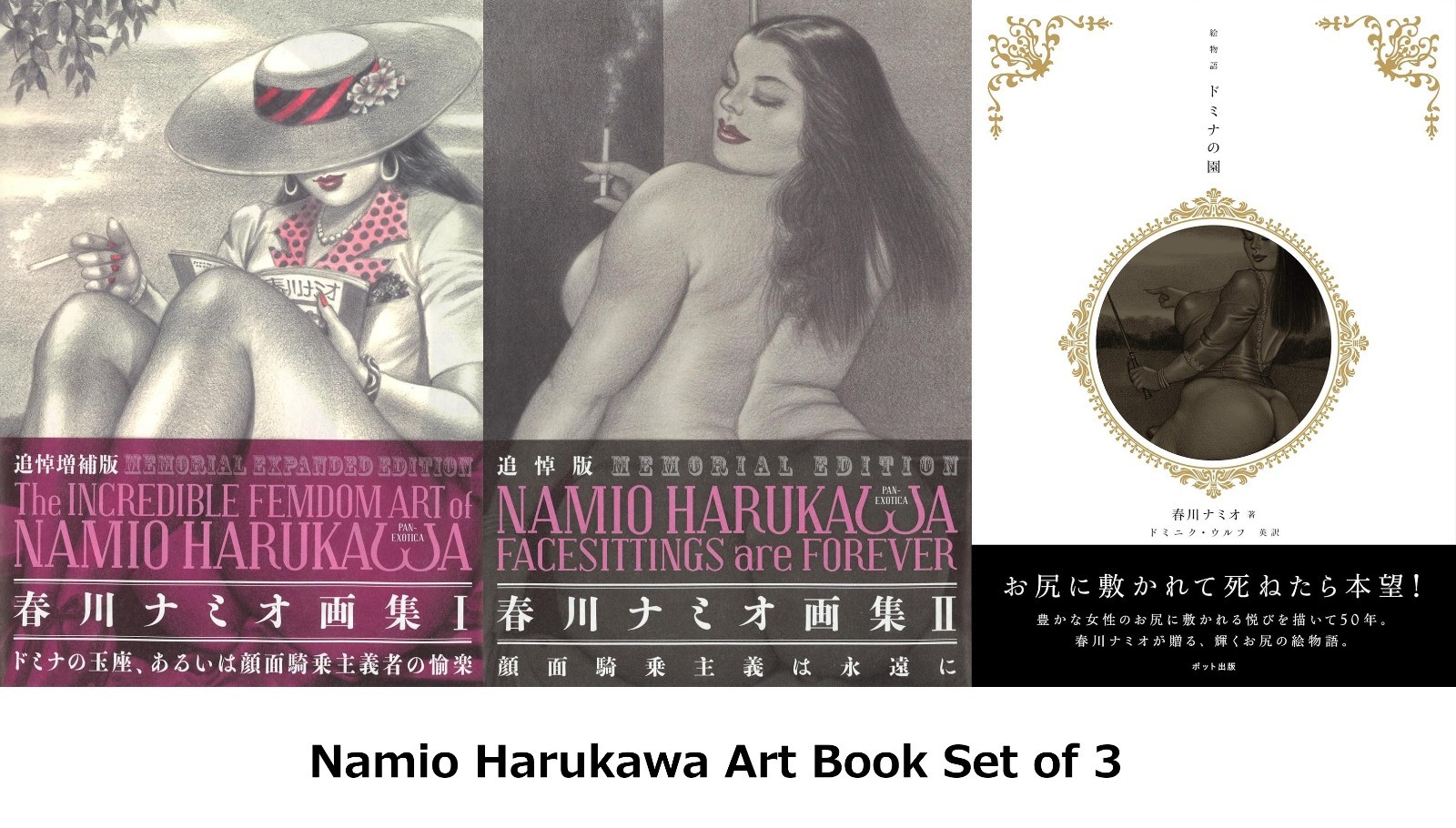 Namio Harukawa Art Book Set of 3 Illustration Book / NEW JAPAN