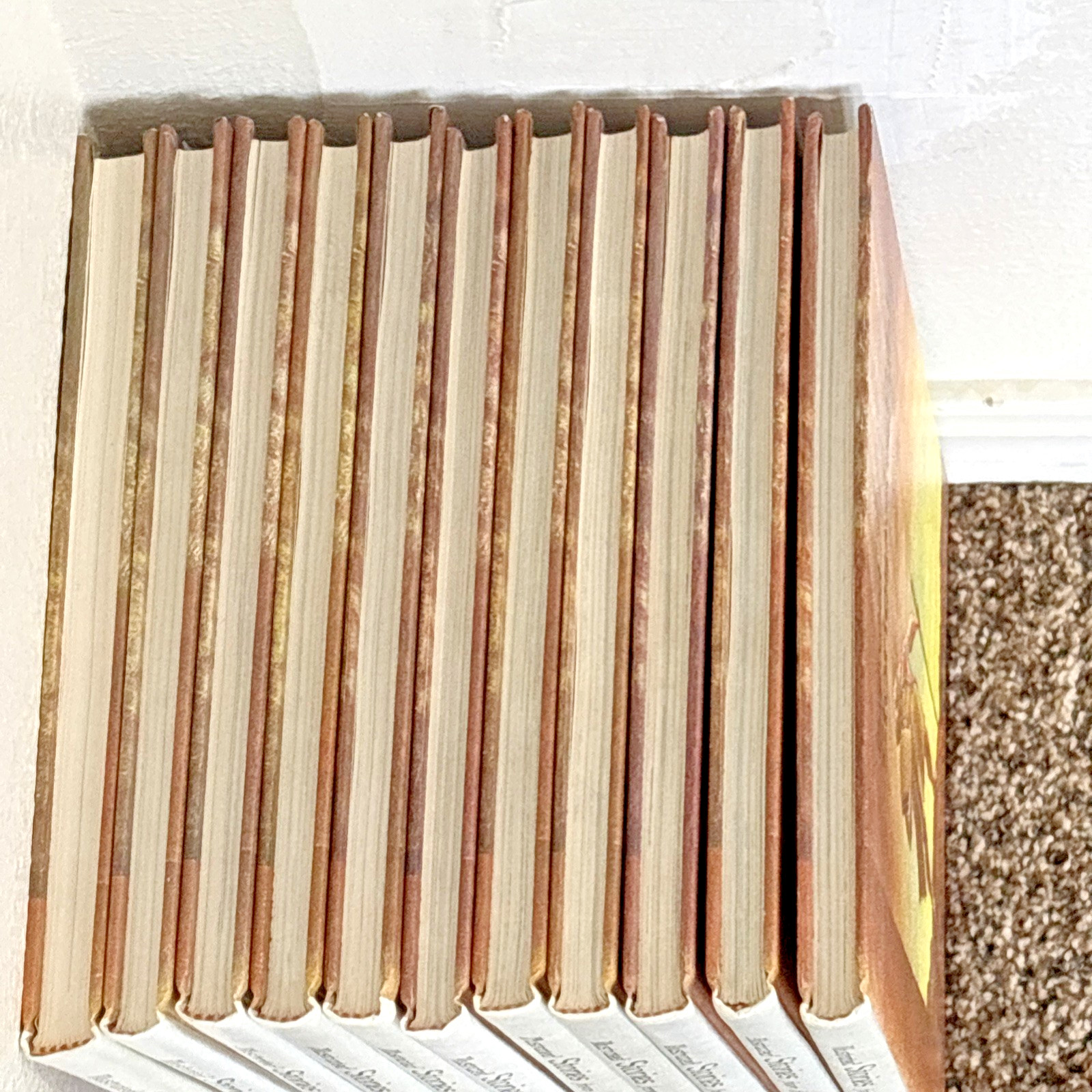 COMPLETE ILLUSTRATED STORIES FROM THE BIBLE 1st ed. 10 volumes plus study guide