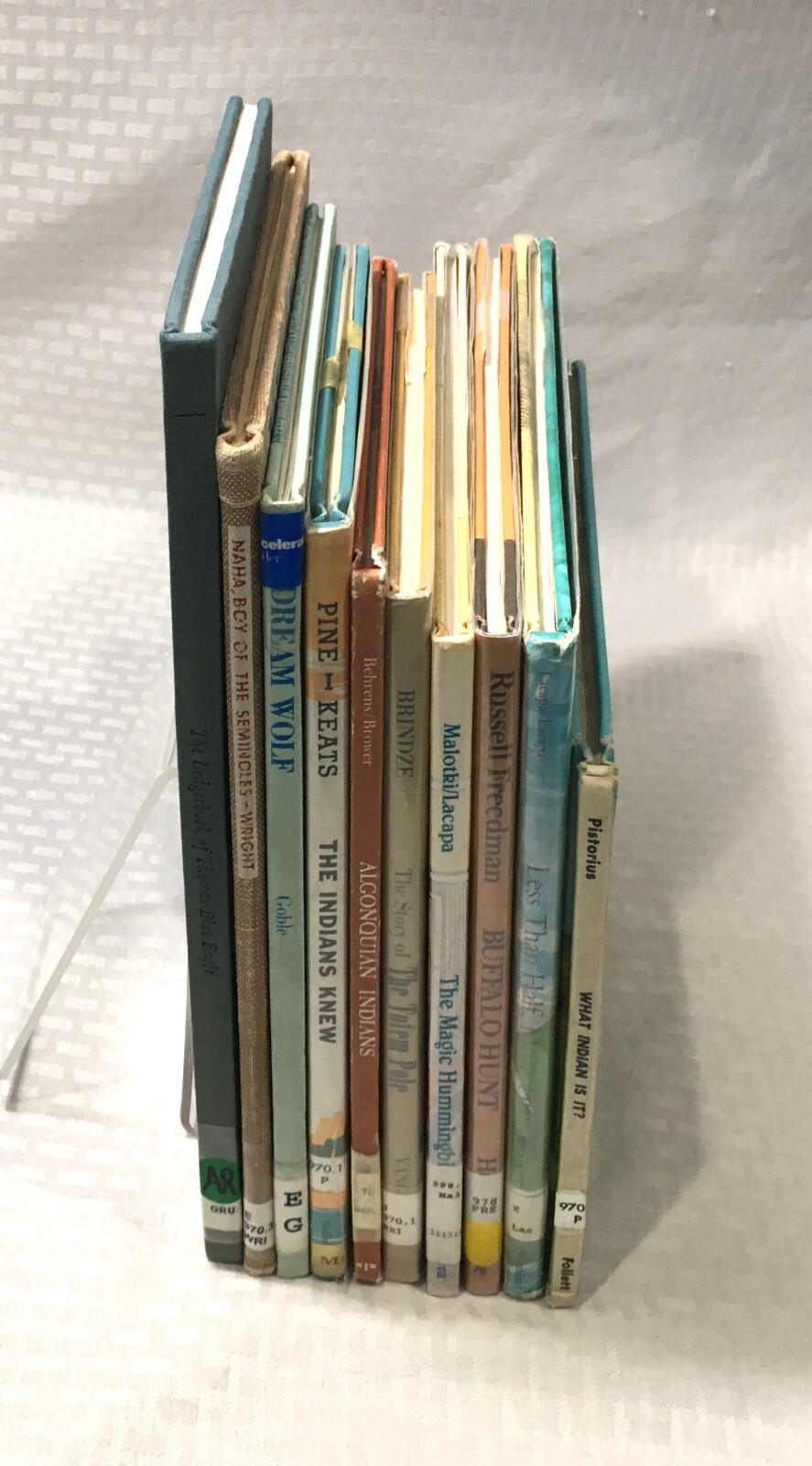 NATIVE AMERICAN BOOK LOT / 10 CHILDREN’S PICTURE BOOK / HC / MULTIPLE TITLES