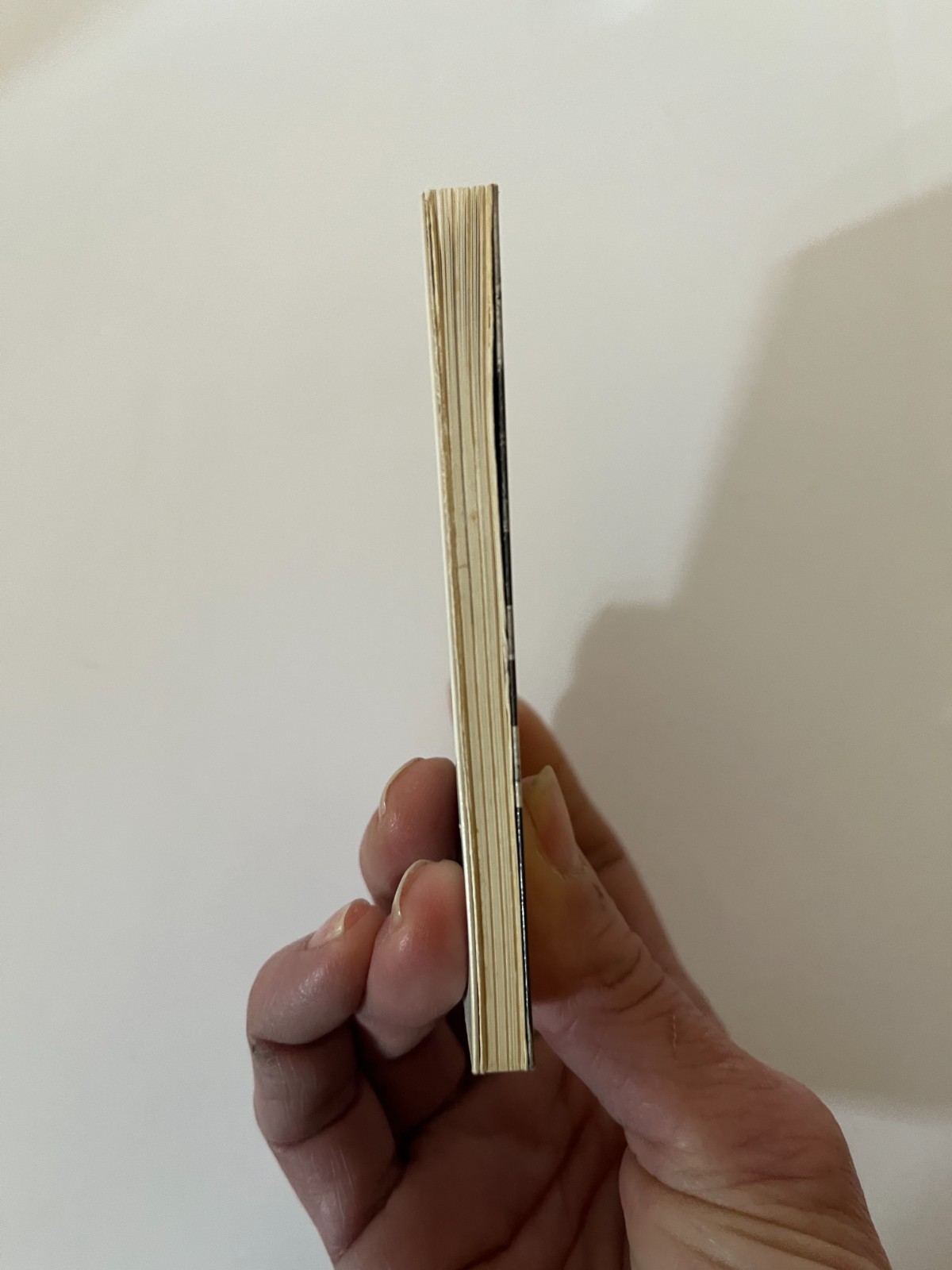 John Willie’s Bizarre [Amuse-gueule]. Taschen Mini-Book. 1996.