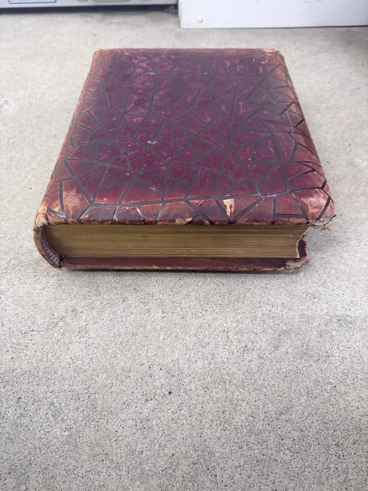 1800s Vintage Book Holy Bible Altemus Antique Leather Original