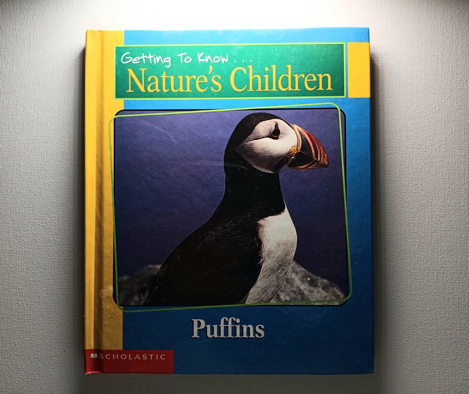 Scholastic Getting to know Nature’s children Animal Books Lot of 6 (hard cover)